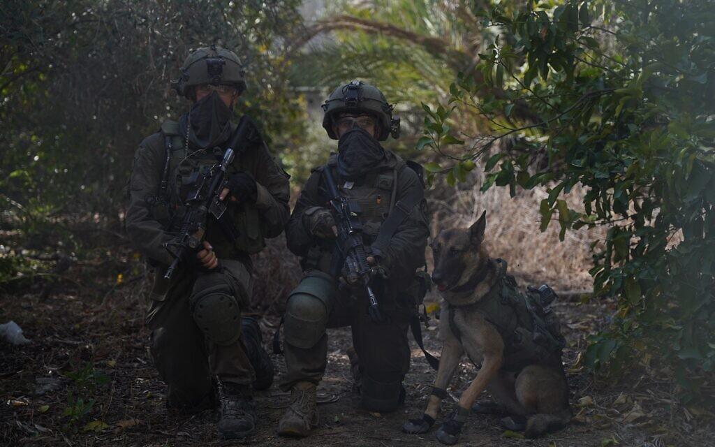 IDF troops and dog IDF photo